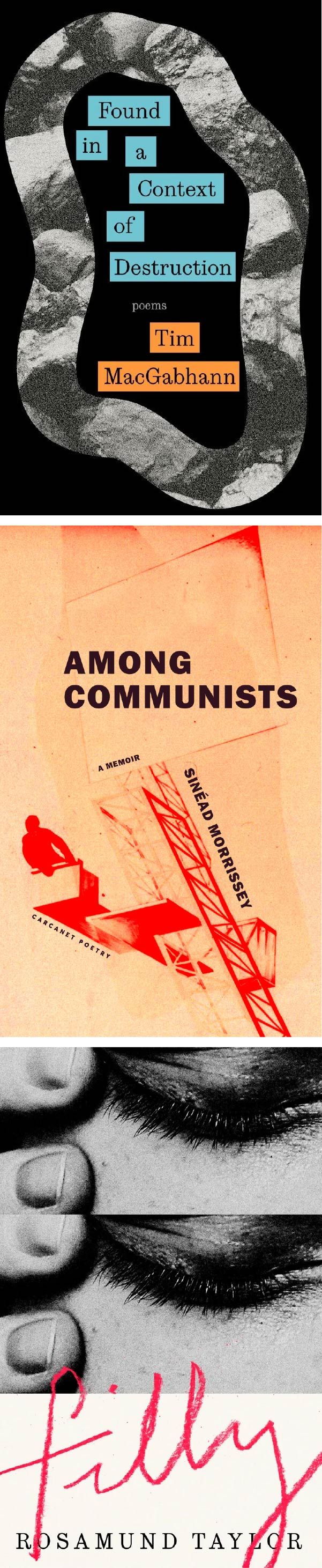 Writing Across Literary Forms: Tim MacGabhann, Sinéad Morrissey & Rosamund Taylor